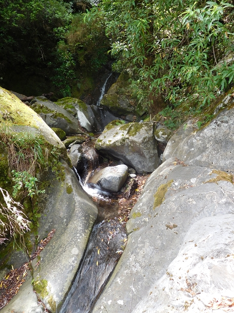 11 August 2015 Levada do Plaino Velho and descent to the Levada da Faja do Rodrigues — Descent to the Levada da Faja do Rodrigues — photo 10