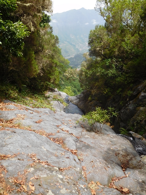11 August 2015 Levada do Plaino Velho and descent to the Levada da Faja do Rodrigues — Descent to the Levada da Faja do Rodrigues — photo 11