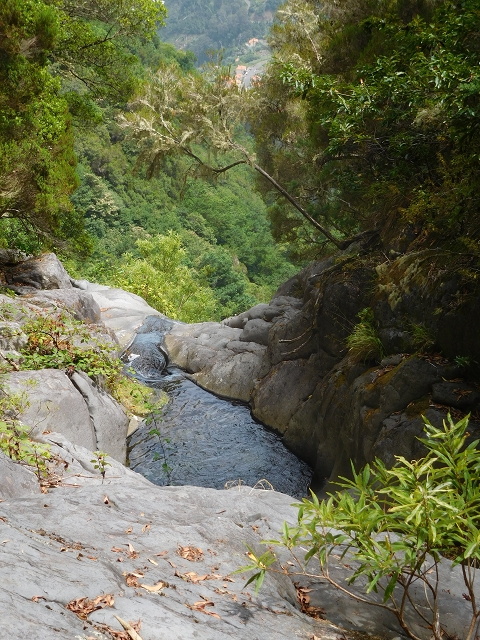 11 August 2015 Levada do Plaino Velho and descent to the Levada da Faja do Rodrigues — Descent to the Levada da Faja do Rodrigues — photo 12