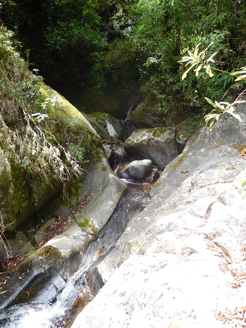 11 August 2015 Levada do Plaino Velho and descent to the Levada da Faja do Rodrigues — Descent to the Levada da Faja do Rodrigues — photo 13