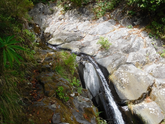 11 August 2015 Levada do Plaino Velho and descent to the Levada da Faja do Rodrigues — Descent to the Levada da Faja do Rodrigues — photo 17