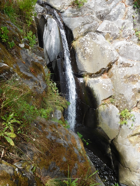 11 August 2015 Levada do Plaino Velho and descent to the Levada da Faja do Rodrigues — Descent to the Levada da Faja do Rodrigues — photo 18
