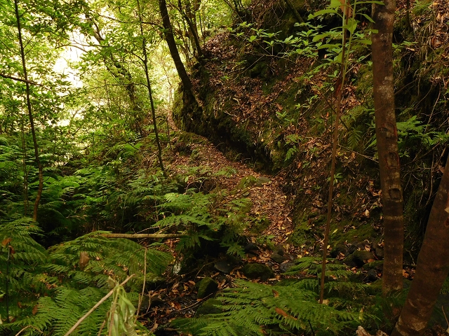 11 August 2015 Levada do Plaino Velho and descent to the Levada da Faja do Rodrigues — Descent to the Levada da Faja do Rodrigues — photo 19