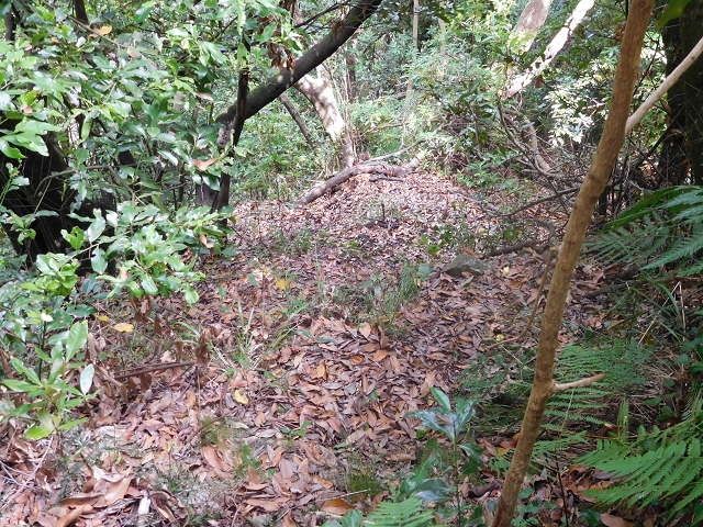 11 August 2015 Levada do Plaino Velho and descent to the Levada da Faja do Rodrigues — Here one could continue to the Levada do Lanço — photo 3