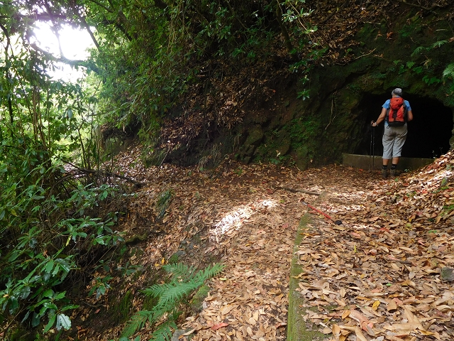 11 August 2015 Levada do Plaino Velho and descent to the Levada da Faja do Rodrigues — Here one could continue to the Levada do Lanço — photo 4