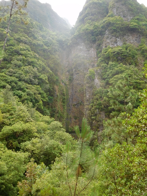 11 August 2015 Levada do Plaino Velho and descent to the Levada da Faja do Rodrigues — Back to Achada do Loural — photo 1