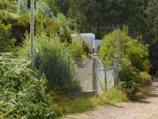 11 August 2015 Levada do Plaino Velho and descent to the Levada da Faja do Rodrigues — Back to Achada do Loural — photo 3