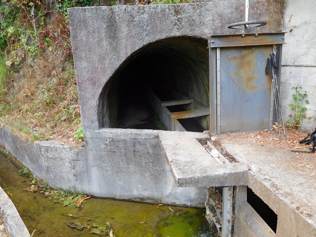 11 August 2015 Levada do Plaino Velho and descent to the Levada da Faja do Rodrigues — Back to Achada do Loural — photo 5