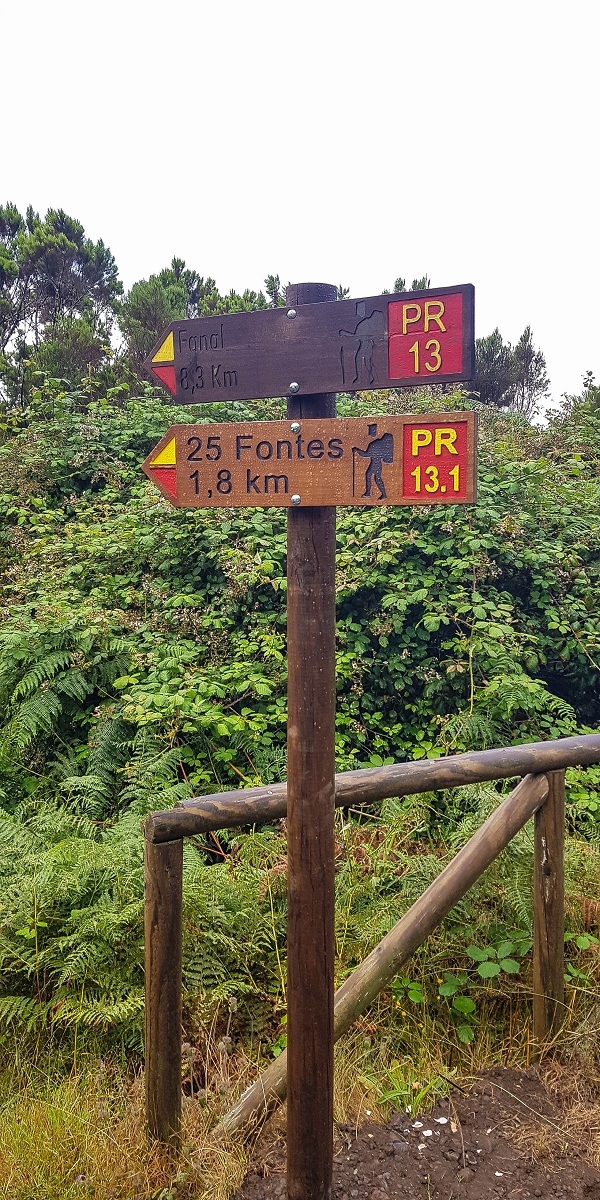 11 de agosto de 2021 Palha Carga e mais uma vez a Levada da Rocha Vermelha — Descida pela Palha Carga até à Ribeira dos Cedros — foto 1