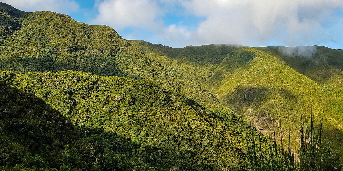 11 de agosto de 2021 Palha Carga e mais uma vez a Levada da Rocha Vermelha — Descida pela Palha Carga até à Ribeira dos Cedros — foto 10