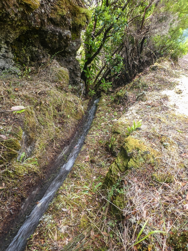 11 de agosto de 2021 Palha Carga e mais uma vez a Levada da Rocha Vermelha — Stairway to Heaven — foto 12