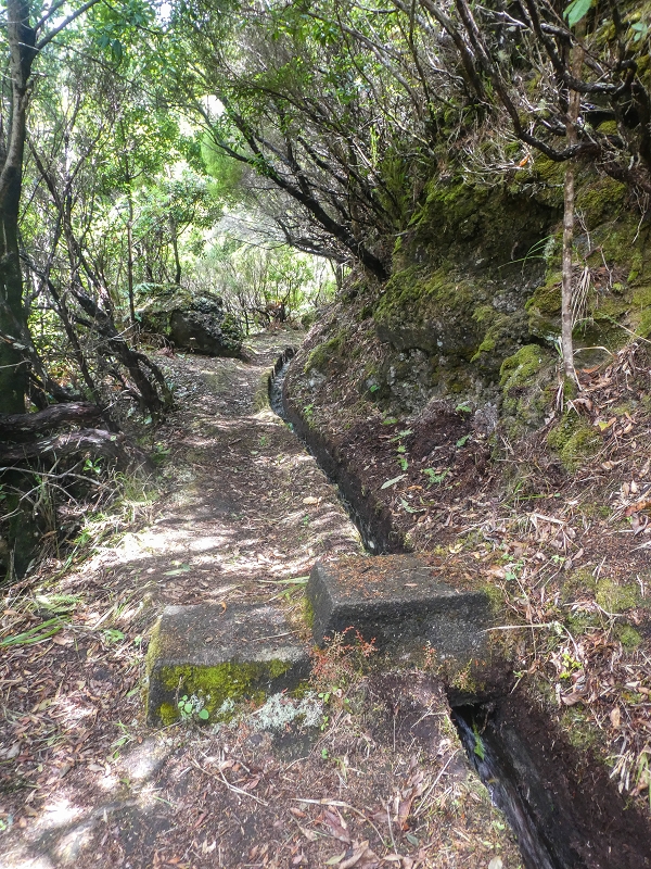 11 de agosto de 2021 Palha Carga e mais uma vez a Levada da Rocha Vermelha — Seguindo até à passagem do ribeiro — foto 1