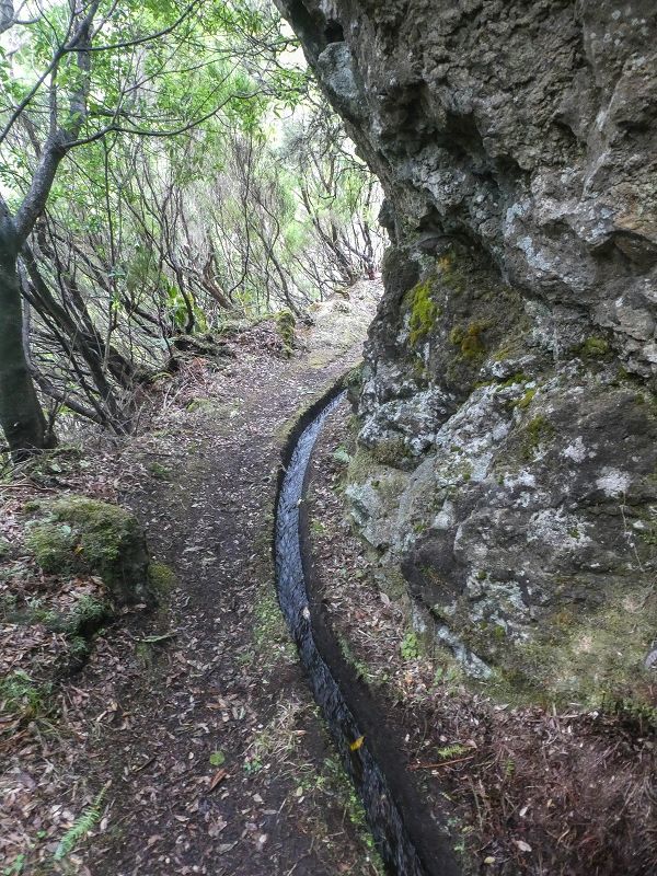 11 de agosto de 2021 Palha Carga e mais uma vez a Levada da Rocha Vermelha — Seguindo até à passagem do ribeiro — foto 2