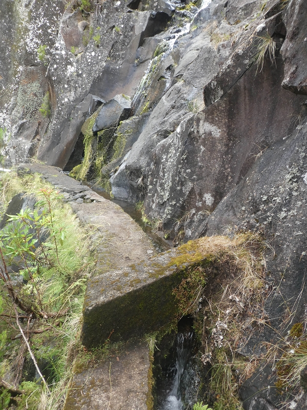11 de agosto de 2021 Palha Carga e mais uma vez a Levada da Rocha Vermelha — Seguindo até à passagem do ribeiro — foto 7