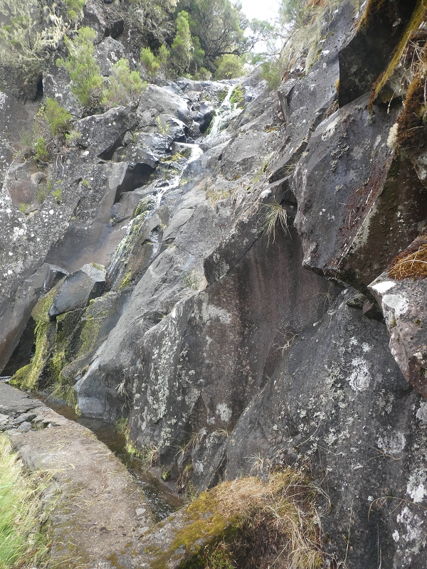 11 de agosto de 2021 Palha Carga e mais uma vez a Levada da Rocha Vermelha — Seguindo até à passagem do ribeiro — foto 8