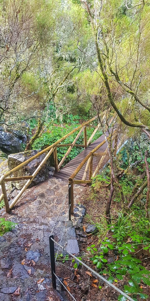 11 de agosto de 2021 Palha Carga e mais uma vez a Levada da Rocha Vermelha — Descida pela Palha Carga até à Ribeira dos Cedros — foto 11