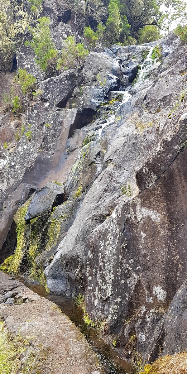 11 de agosto de 2021 Palha Carga e mais uma vez a Levada da Rocha Vermelha — Seguindo até à passagem do ribeiro — foto 9