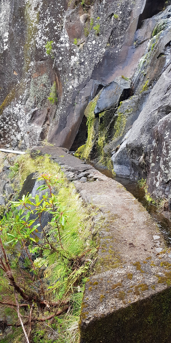 11 de agosto de 2021 Palha Carga e mais uma vez a Levada da Rocha Vermelha — Seguindo até à passagem do ribeiro — foto 10