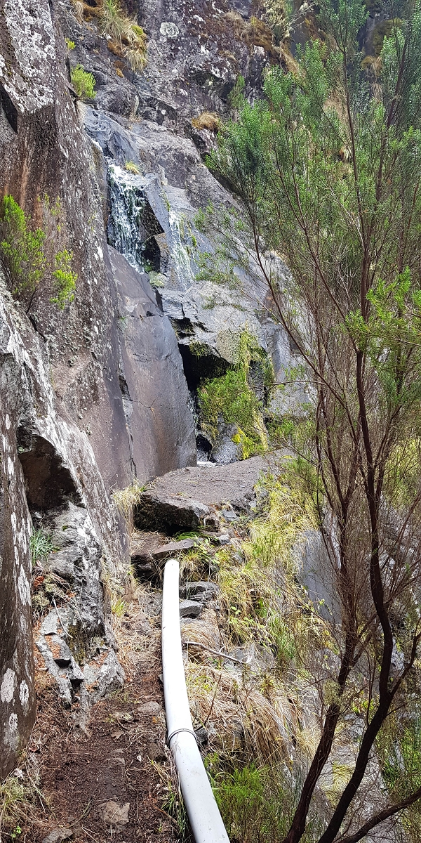 11 de agosto de 2021 Palha Carga e mais uma vez a Levada da Rocha Vermelha — Seguindo até à passagem do ribeiro — foto 11