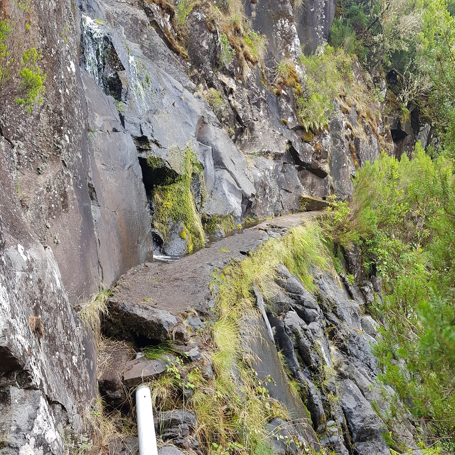11 de agosto de 2021 Palha Carga e mais uma vez a Levada da Rocha Vermelha — Seguindo até à passagem do ribeiro — foto 12