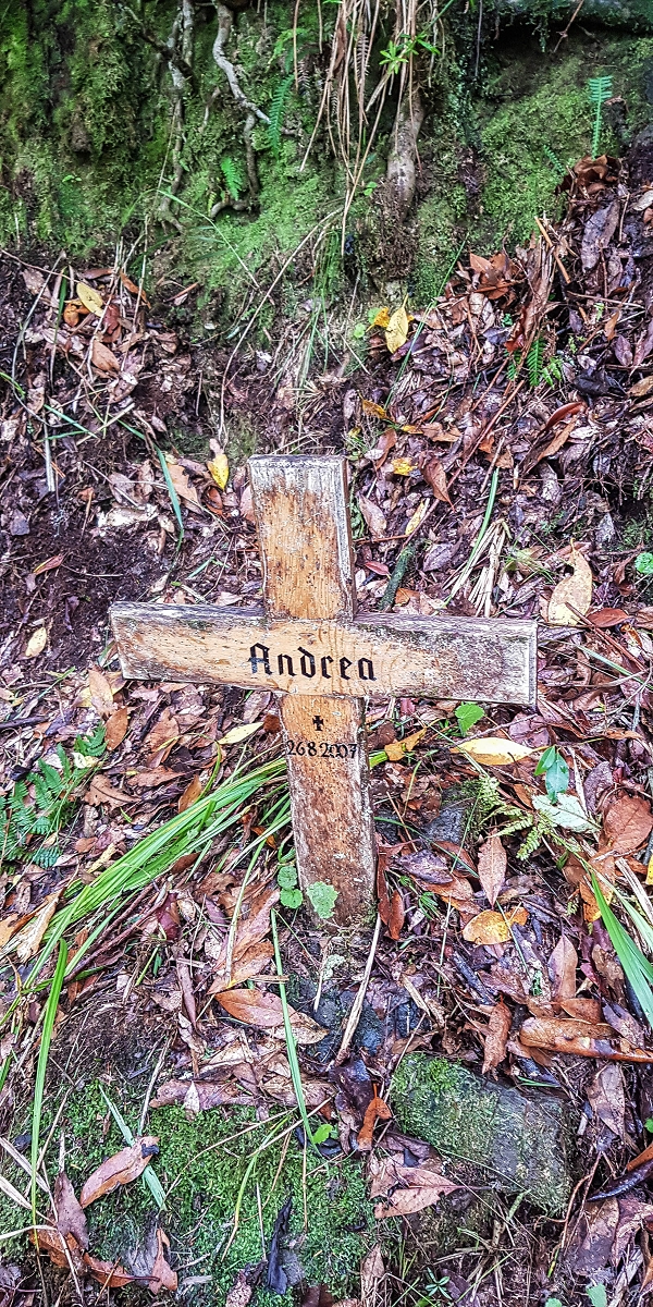 11 de agosto de 2021 Palha Carga e mais uma vez a Levada da Rocha Vermelha — Até à Madre atual junto à cruz de Santo André — foto 4