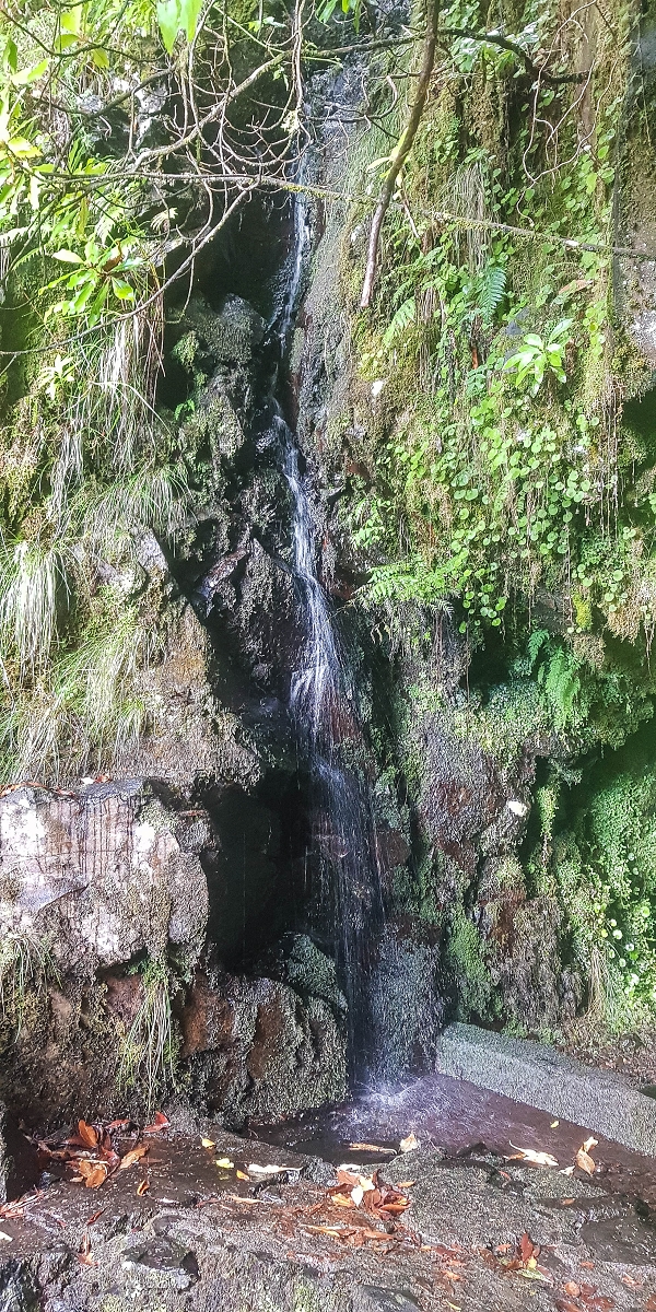 Levada Vinte e Cinco Fontes — Madre — foto 1