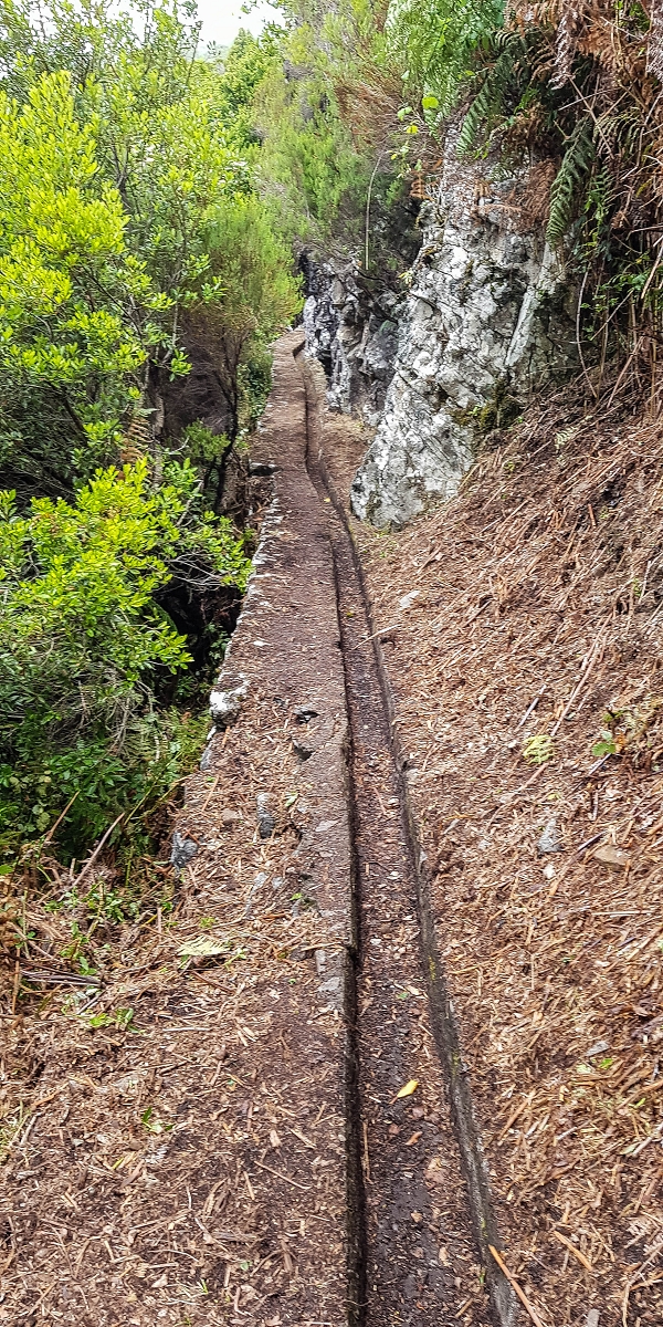 11 de agosto de 2021 Palha Carga e mais uma vez a Levada da Rocha Vermelha — Na levada até à Madre antiga — foto 1