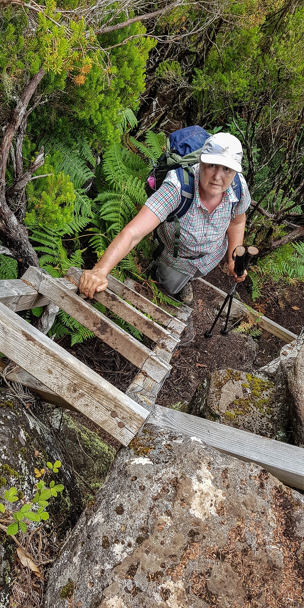 11 de agosto de 2021 Palha Carga e mais uma vez a Levada da Rocha Vermelha — Subida na urze até ao PR13 — foto 3