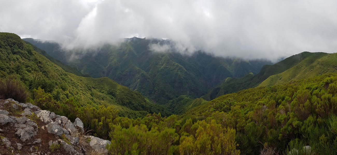 11 de agosto de 2021 Palha Carga e mais uma vez a Levada da Rocha Vermelha — Subida na urze até ao PR13 — foto 4