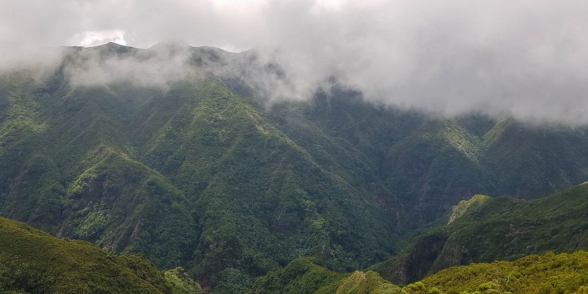 11 de agosto de 2021 Palha Carga e mais uma vez a Levada da Rocha Vermelha — Subida na urze até ao PR13 — foto 5