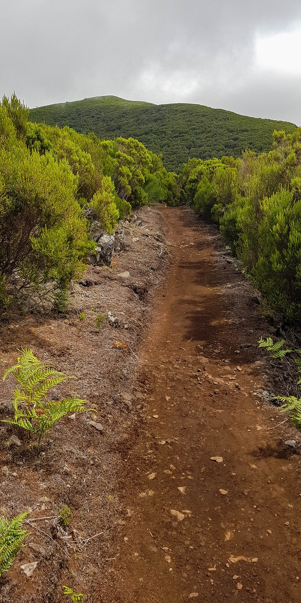 11 de agosto de 2021 Palha Carga e mais uma vez a Levada da Rocha Vermelha — No PR13 até ao ponto de partida — foto 2