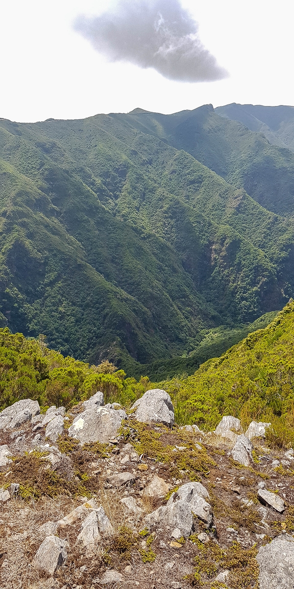 11 de agosto de 2021 Palha Carga e mais uma vez a Levada da Rocha Vermelha — No PR13 até ao ponto de partida — foto 8