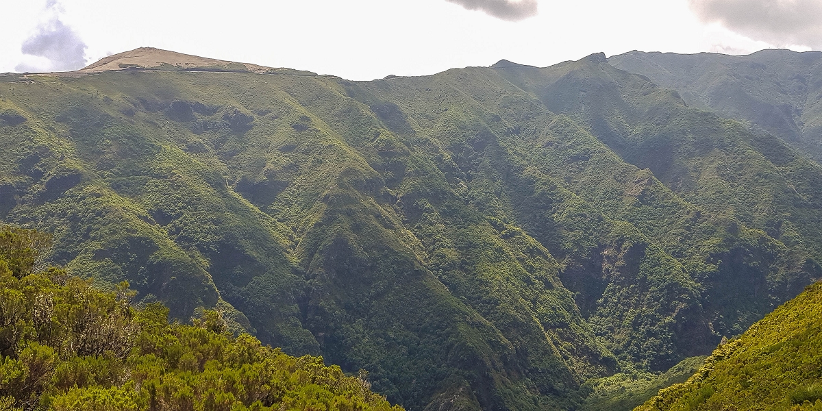 11 de agosto de 2021 Palha Carga e mais uma vez a Levada da Rocha Vermelha — No PR13 até ao ponto de partida — foto 9