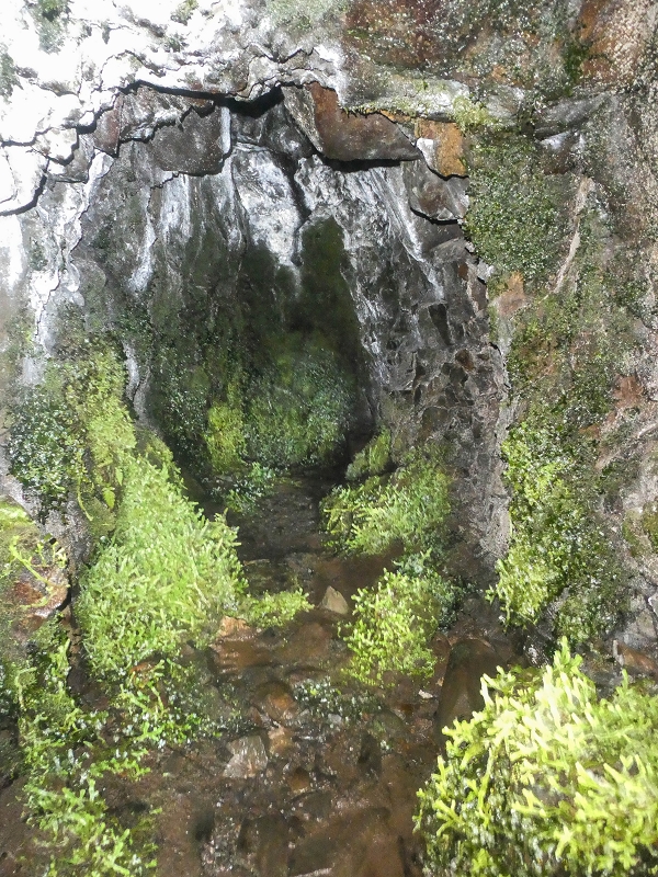 Levada Vinte e Cinco Fontes — Madre — foto 3