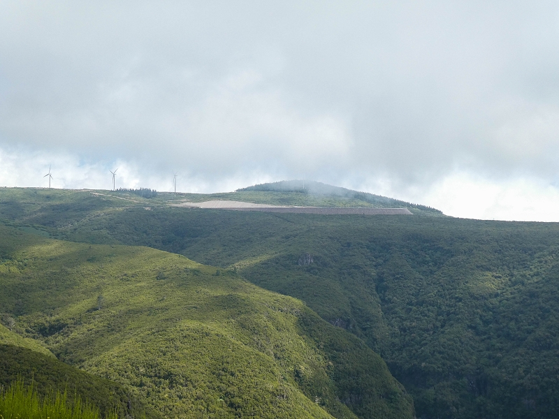 11 de agosto de 2021 Palha Carga e mais uma vez a Levada da Rocha Vermelha — No PR13 até ao ponto de partida — foto 10
