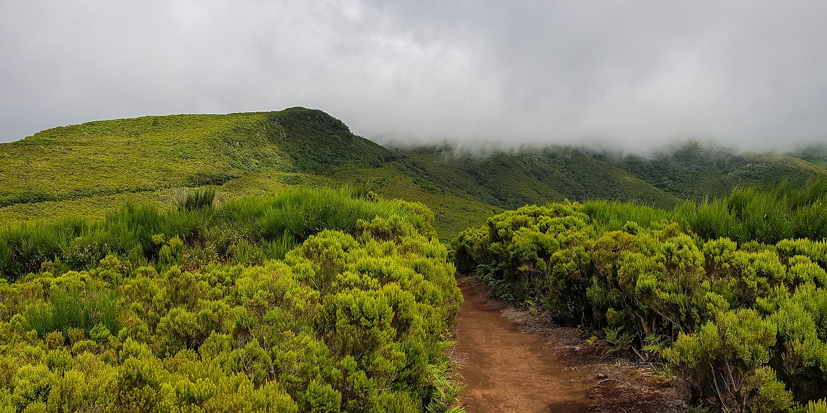 11 de agosto de 2021 Palha Carga e mais uma vez a Levada da Rocha Vermelha — No PR13 até ao ponto de partida — foto 11