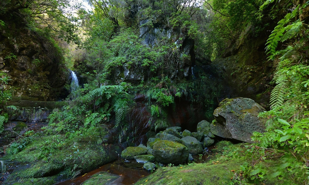 Levada do Seixal — Fassung der Ribeira dos Cedros und der Ribeira de Agua negra — Foto 1