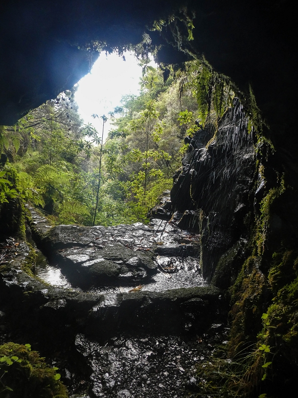 Levada Vinte e Cinco Fontes — Madre — foto 4
