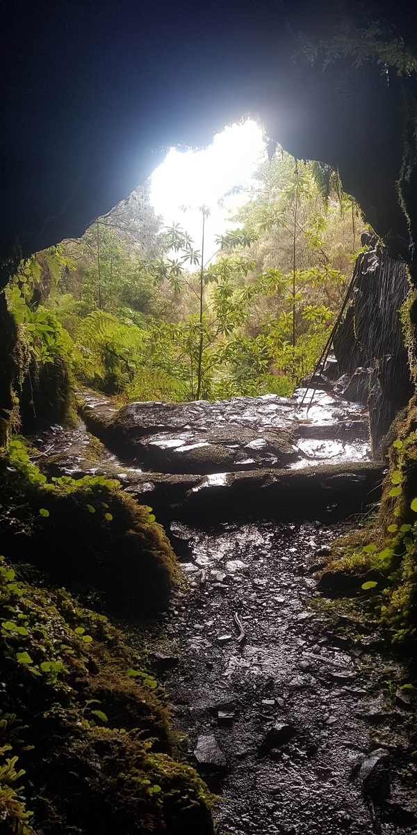 Levada Vinte e Cinco Fontes — Madre — foto 5