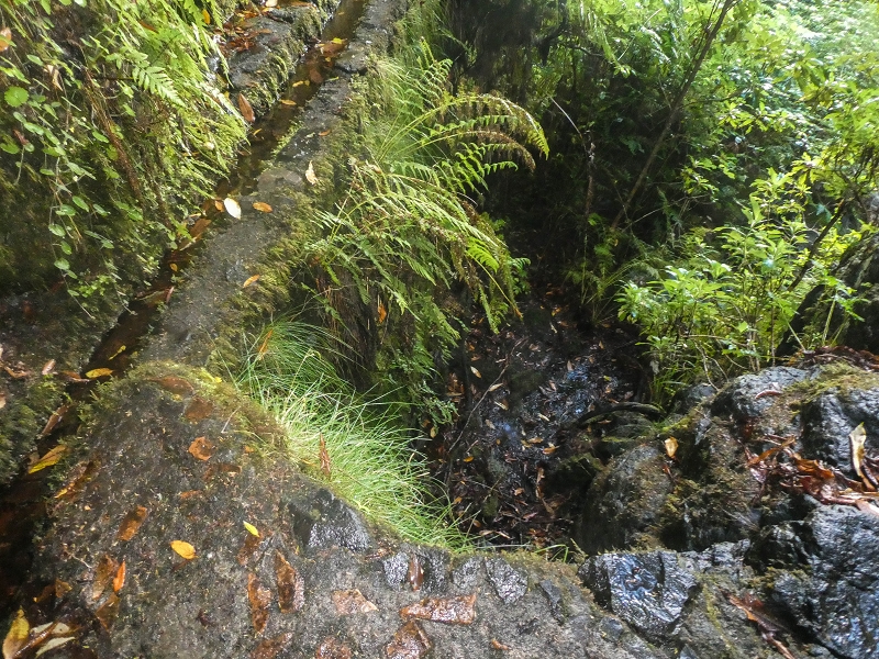 Levada Vinte e Cinco Fontes — O Poco acima da Madre — foto 2