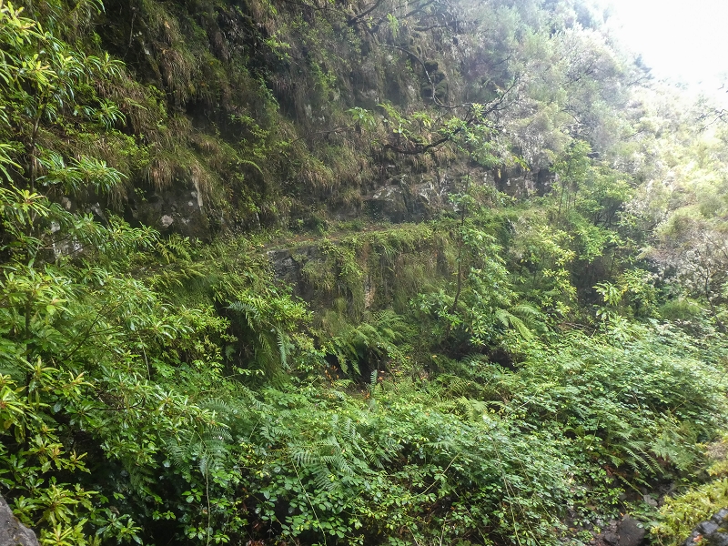 Levada Vinte e Cinco Fontes — O Poco acima da Madre — foto 4