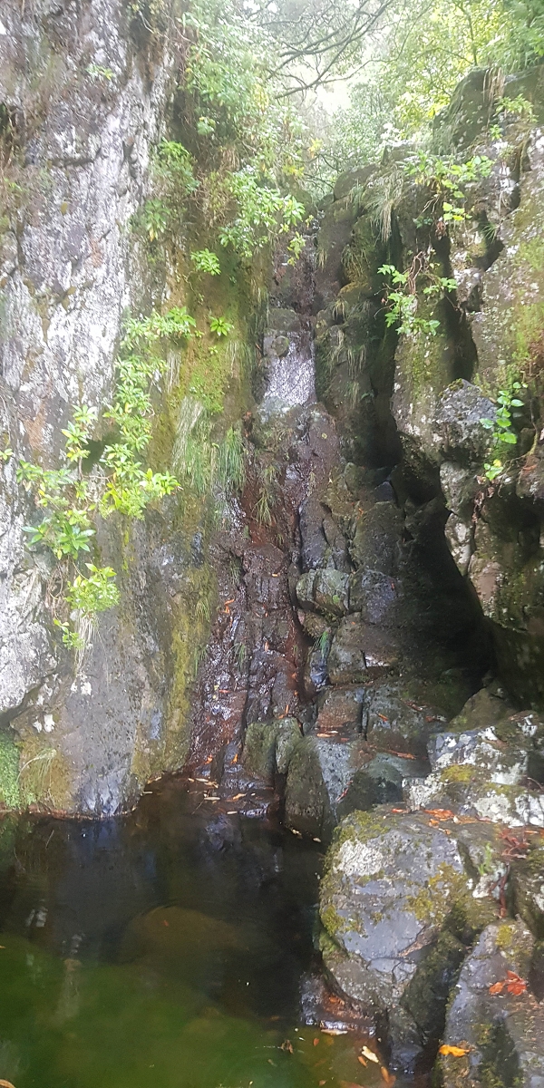 Levada Vinte e Cinco Fontes — O Poco acima da Madre — foto 5