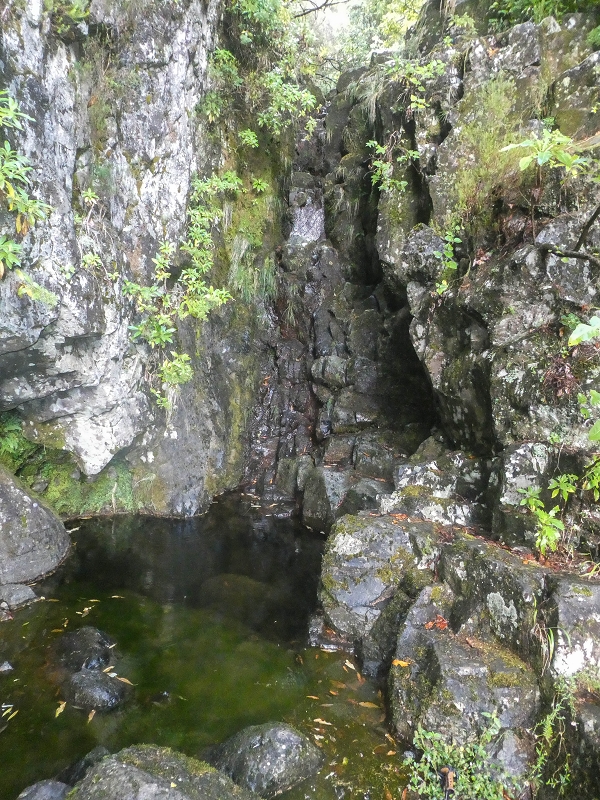 Levada Vinte e Cinco Fontes — O Poco acima da Madre — foto 6