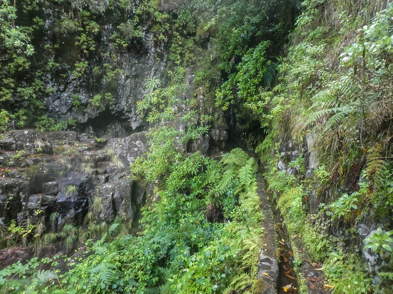 Levada Vinte e Cinco Fontes — Os primeiros metros — foto 1