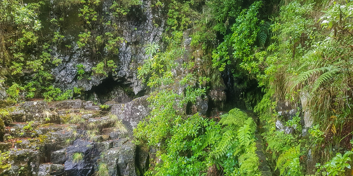 Levada Vinte e Cinco Fontes — Os primeiros metros — foto 2