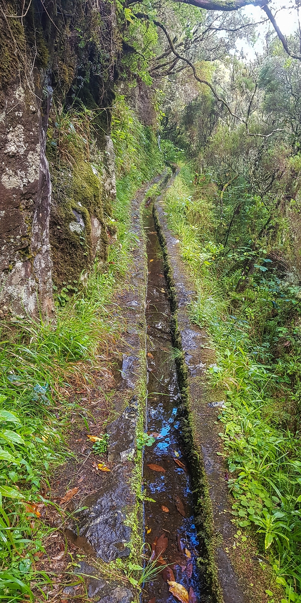 Levada Vinte e Cinco Fontes — Os primeiros metros — foto 3