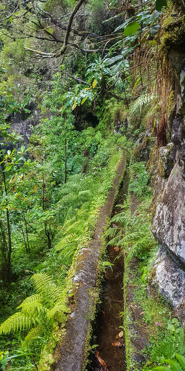 Levada Vinte e Cinco Fontes — Os primeiros metros — foto 4