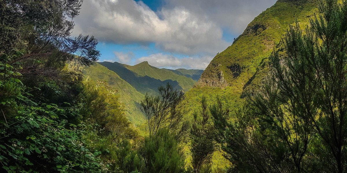 Levada Vinte e Cinco Fontes — Até às 25 fontes — foto 1