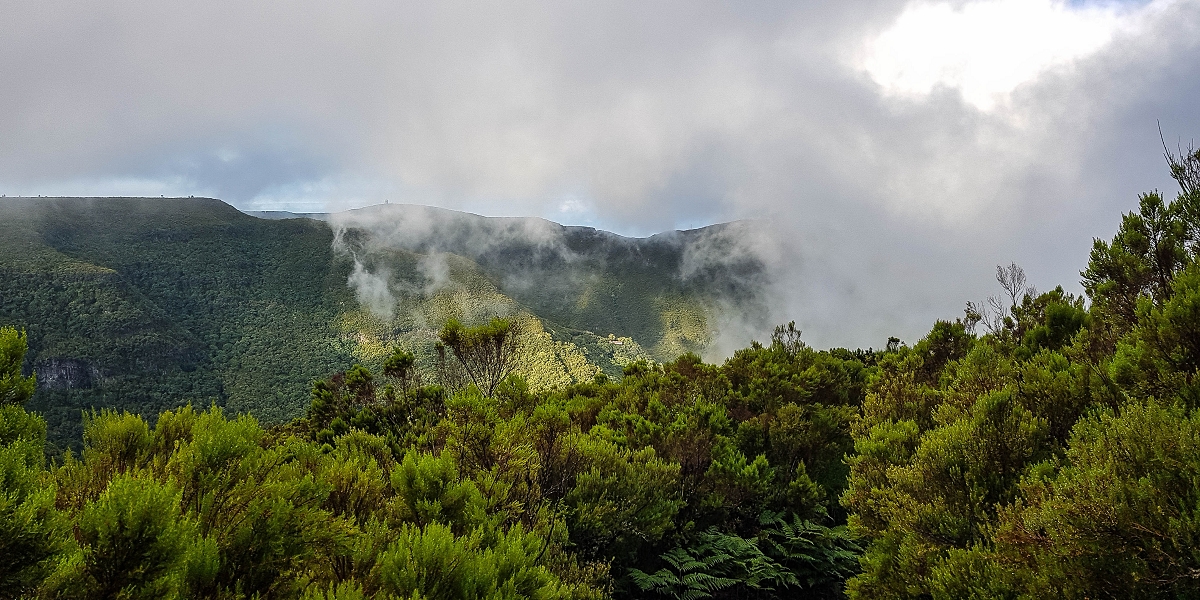 11 de agosto de 2021 Palha Carga e mais uma vez a Levada da Rocha Vermelha — Descida pela Palha Carga até à Ribeira dos Cedros — foto 3