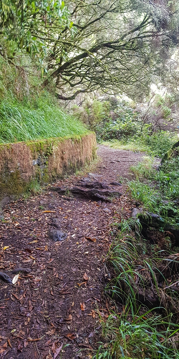 Levada Vinte e Cinco Fontes — Até às 25 fontes — foto 3